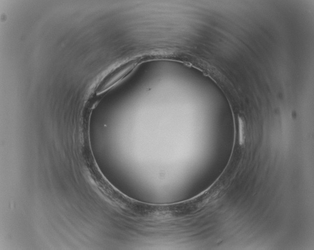 X0000053070252200508011947