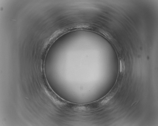 X0000053070253200508011947