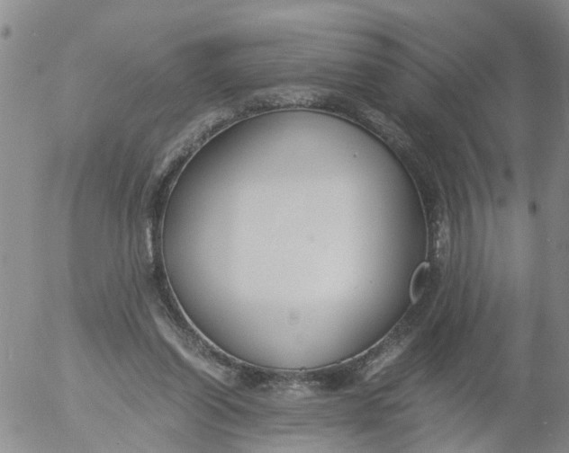 X0000053070254200508011947