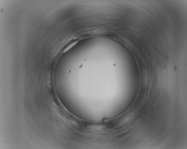 X0000053070255200508011947