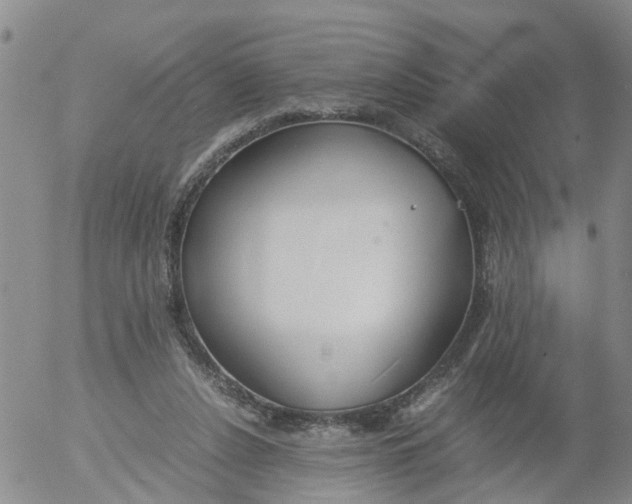 X0000053070256200508011948