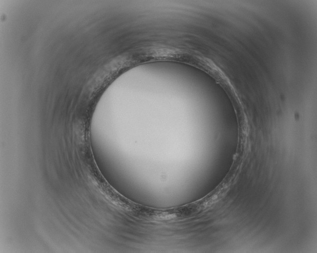 X0000053070257200508011948