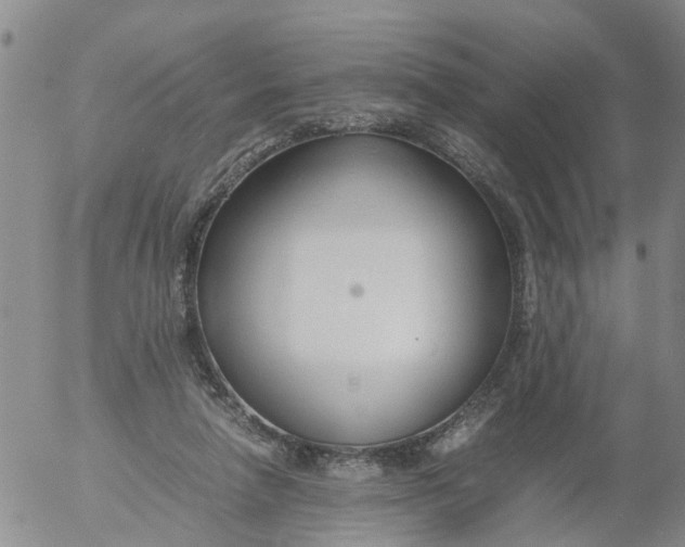 X0000053070258200508011948