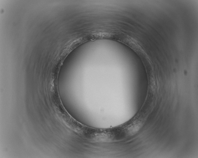 X0000053070259200508011948