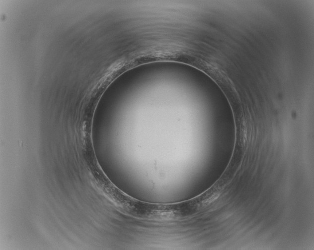 X0000053070260200508011948