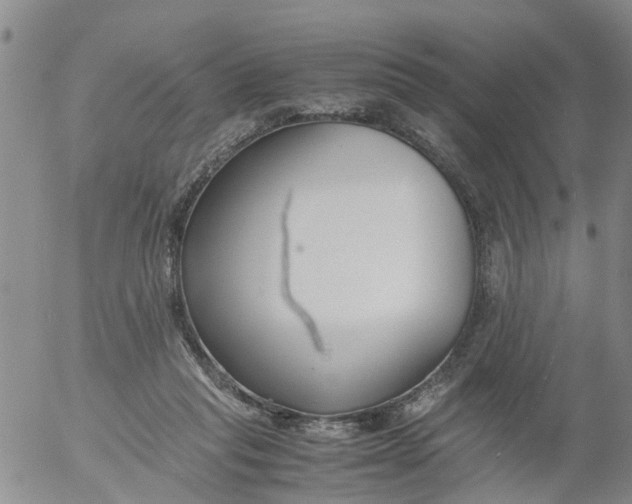 X0000053070261200508011948