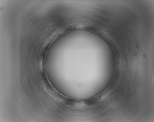 X0000053070262200508011948