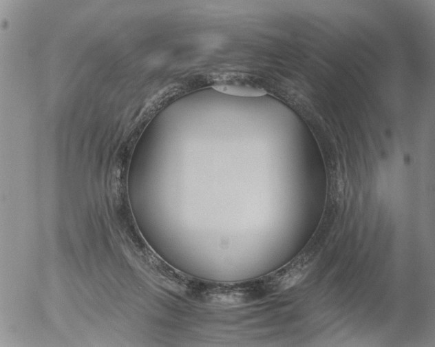 X0000053070263200508011948