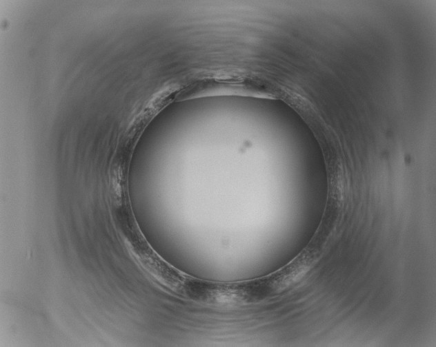 X0000053070264200508011948