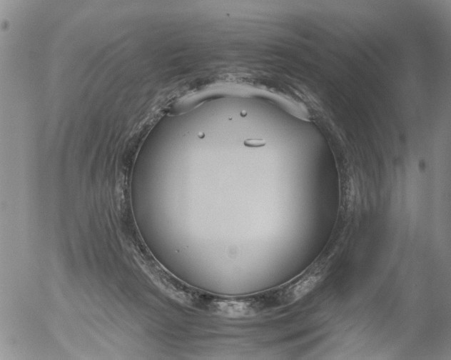 X0000053070265200508011948