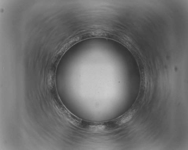 X0000053070266200508011948