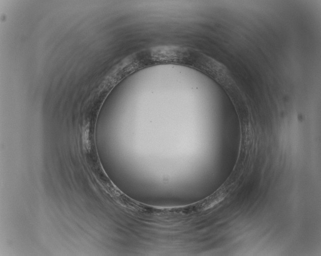 X0000053070267200508011948