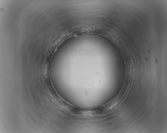 X0000053070268200508011948