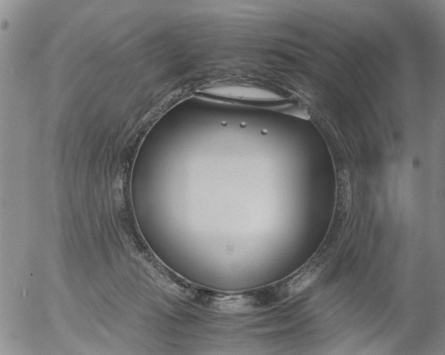 X0000053070269200508011948