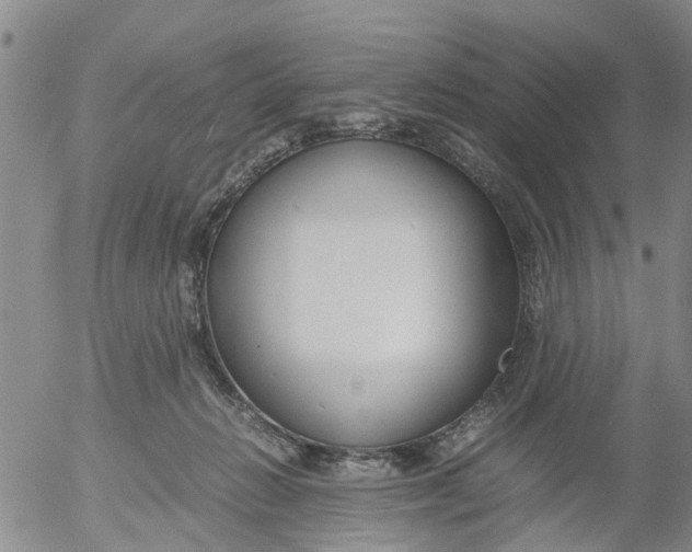 X0000053070270200508011948