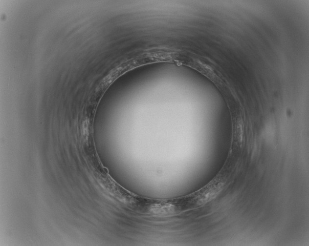 X0000053070271200508011948