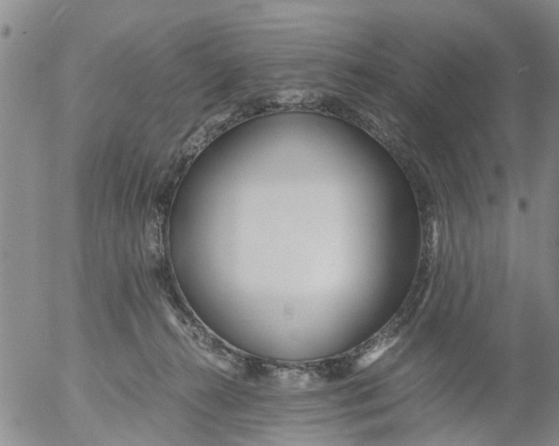 X0000053070272200508011948