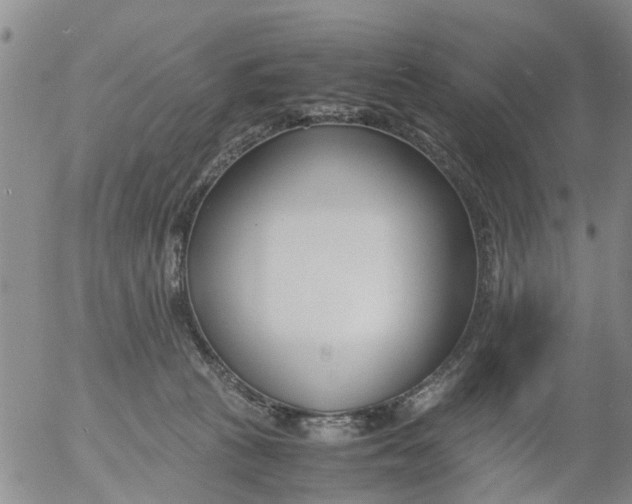 X0000053070273200508011948