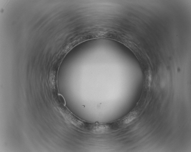 X0000053070274200508011948