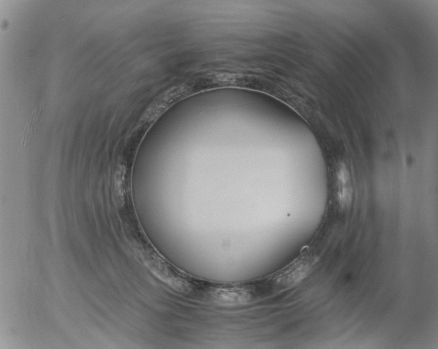 X0000053070275200508011948