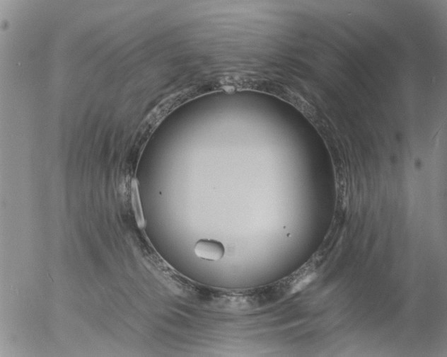 X0000053070276200508011948