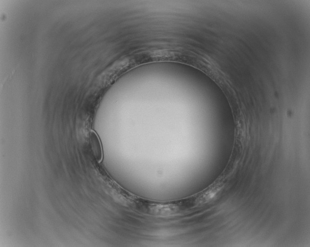 X0000053070277200508011948