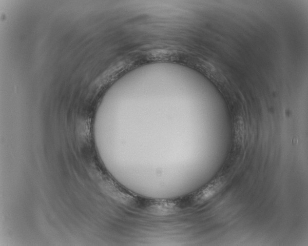 X0000053070278200508011948