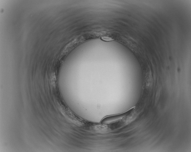 X0000053070279200508011948