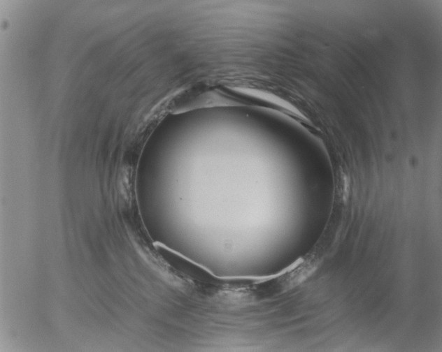 X0000053070280200508011948