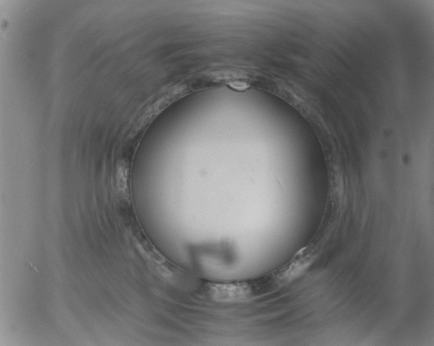 X0000053070281200508011948