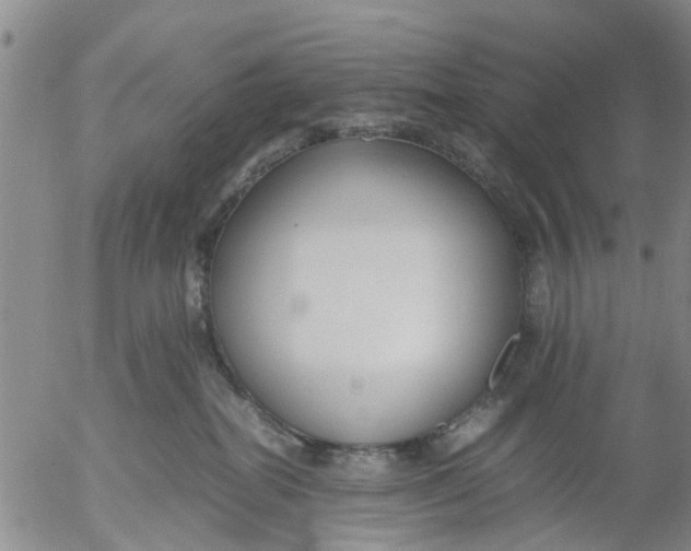 X0000053070282200508011948