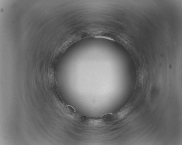 X0000053070283200508011948