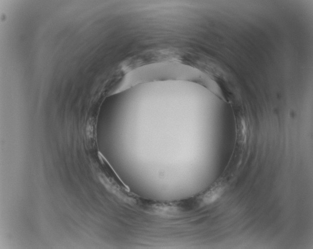 X0000053070284200508011948