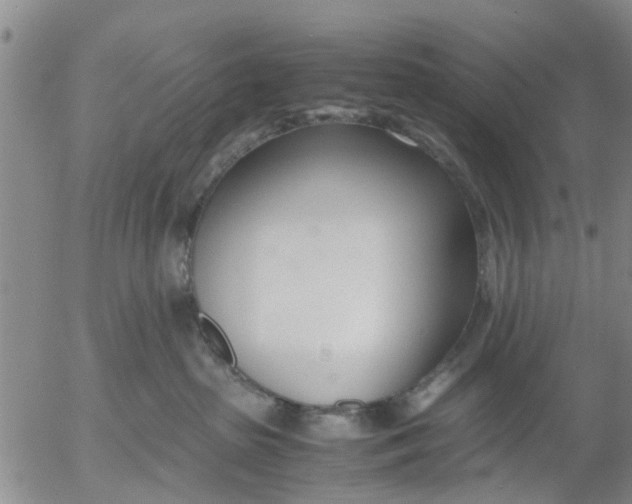 X0000053070285200508011948