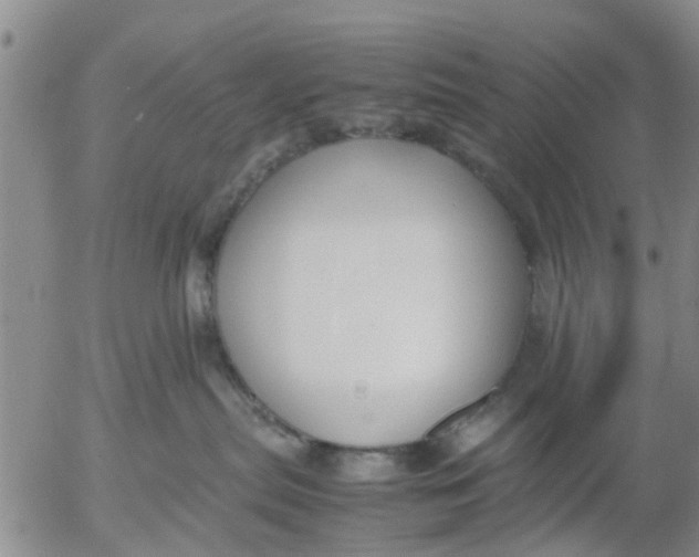 X0000053070287200508011948