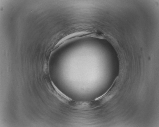 X0000053070288200508011948