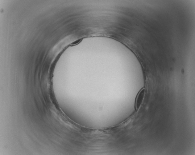 X0000053070290200508011947