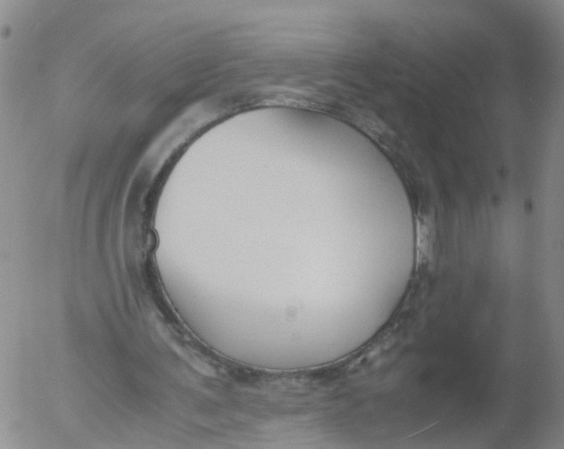 X0000053070291200508011947