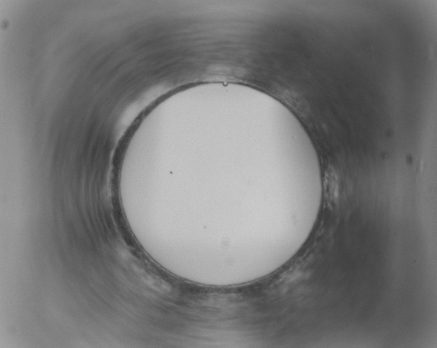 X0000053070292200508011947