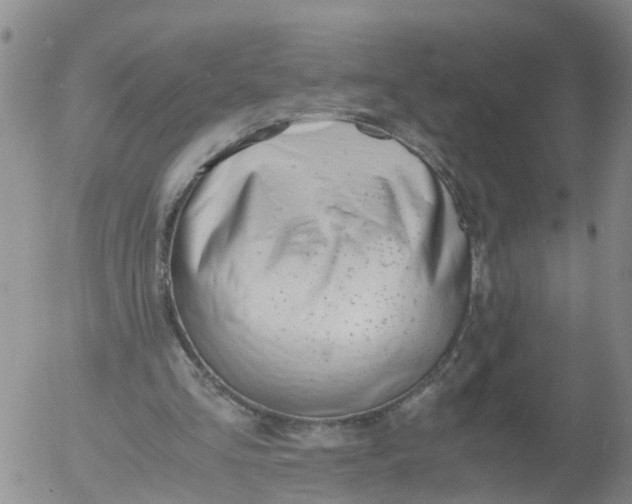 X0000053070293200508011947