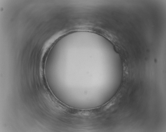 X0000053070294200508011947