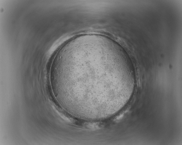 X0000053070295200508011947