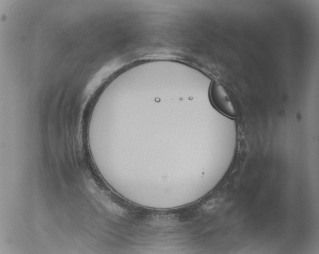 X0000053070296200508011947