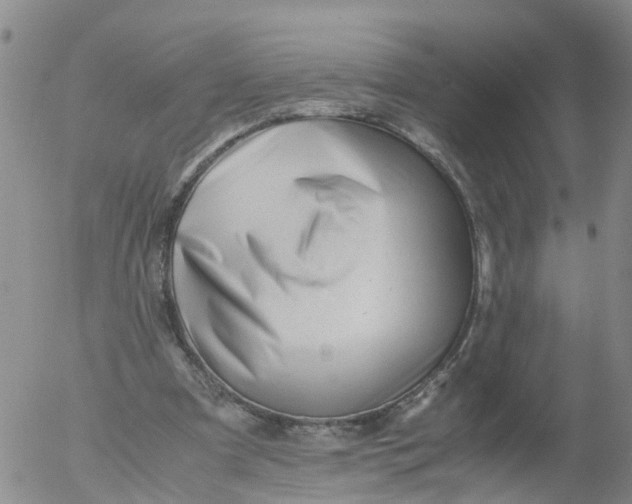 X0000053070297200508011947