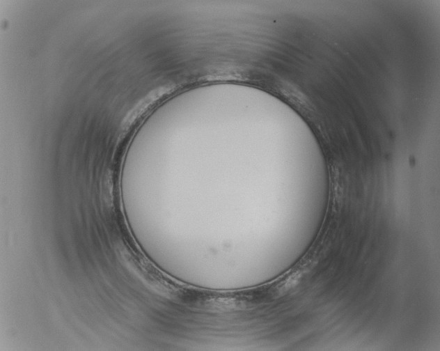 X0000053070298200508011947