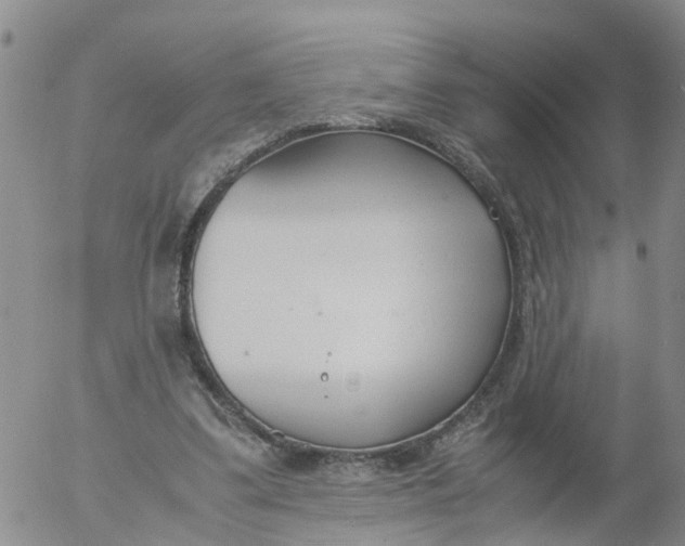 X0000053070299200508011947