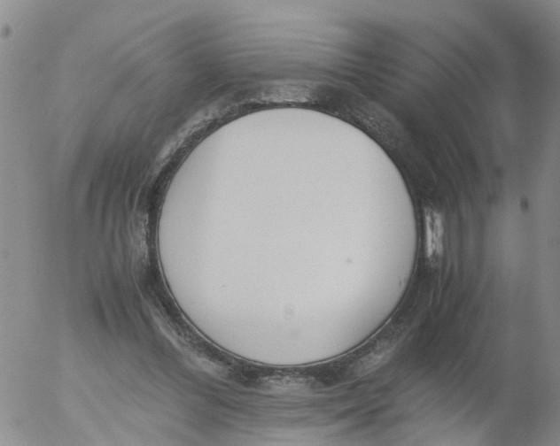 X0000053070300200508011947