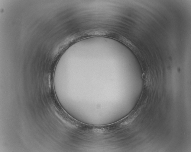 X0000053070302200508011947