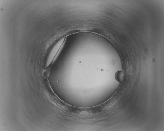 X0000053070303200508011947