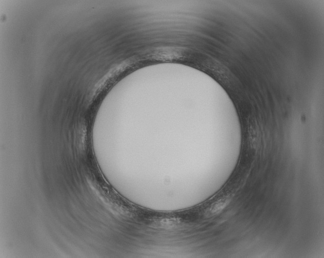 X0000053070304200508011947